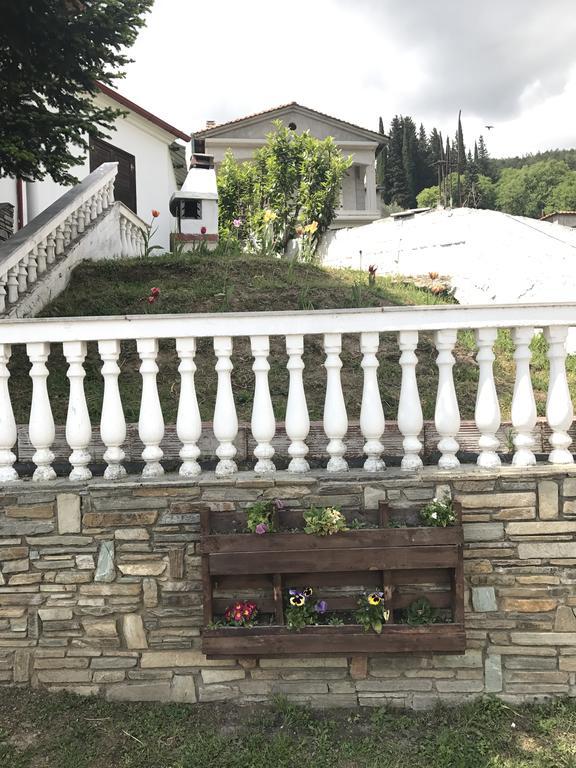 Villa Paradisos Likostomon Exterior foto